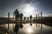 Wandelen in Limburgs heuvellandschap: uitdagend en nét anders