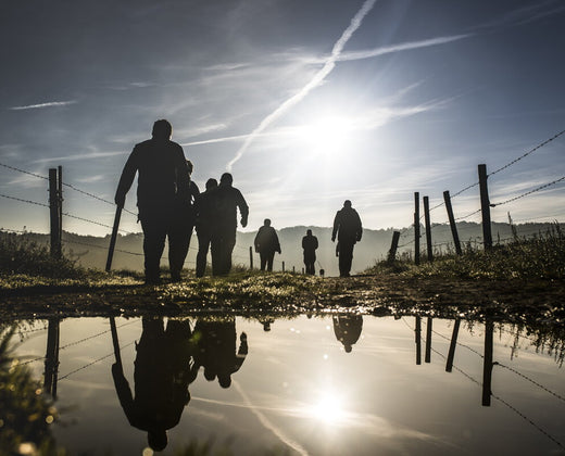 Wandelen in Limburgs heuvellandschap: uitdagend en nét anders