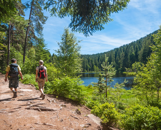 Wandelen in Zuid-Duitsland: bossen, bergen en burchten