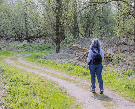 Wandelen in het Bos: voorbereidingen voor een Hike